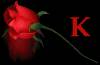 <b>Название: </b>rose k, <b>Добавил:<b> samanta<br>Размеры: 174x114, 37.3 Кб