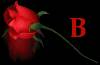<b>Название: </b>rose b, <b>Добавил:<b> samanta<br>Размеры: 174x114, 37.2 Кб