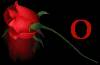 <b>Название: </b>rose o, <b>Добавил:<b> samanta<br>Размеры: 174x114, 37.4 Кб
