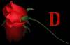 <b>Название: </b>rose d, <b>Добавил:<b> samanta<br>Размеры: 174x114, 35.8 Кб