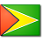 <b>Название: </b>flag_guyana, <b>Добавил:<b> samanta<br>Размеры: 48x48, 3.0 Кб