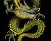 <b>Название: </b>dragon15, <b>Добавил:<b> samanta<br>Размеры: 240x320, 168.5 Кб